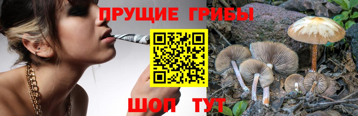 Псилоцибиновые грибы мухоморы  Вход с VPN  Балашиха 